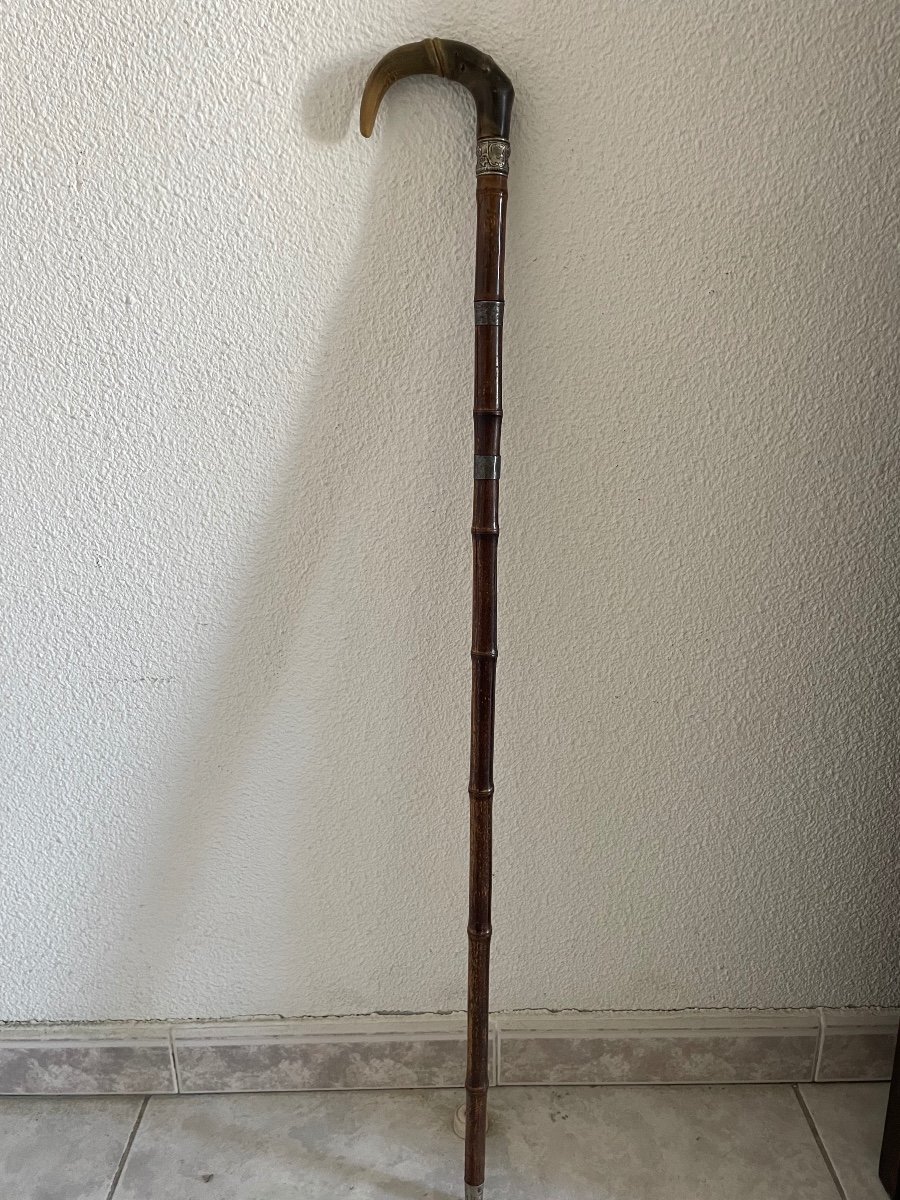 Bamboo Sword Cane - 20th