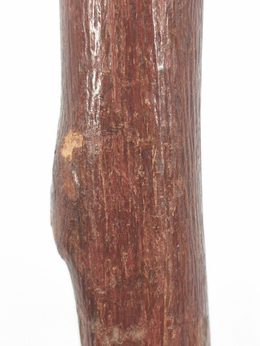 Monoxyl Wooden Cane Carved Devil's Head Popular Art-photo-4