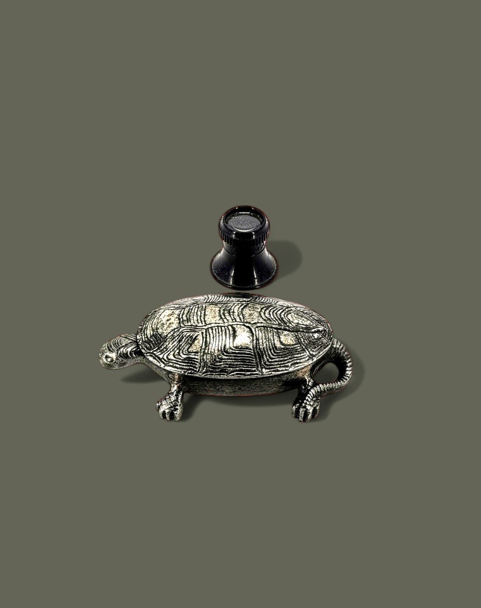 Iron Curiosity - Forged And Chiseled Pyrogen - Tortue Sculpture 19th / 20th Century -photo-2