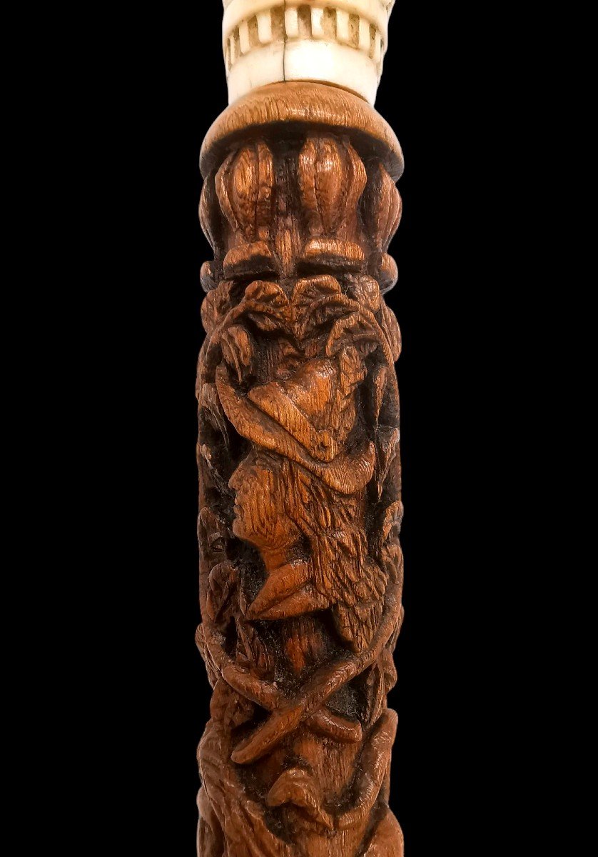 Collectible Cane - Carved In High Reliefs - Historical Decor 18th / 19th Century -photo-1