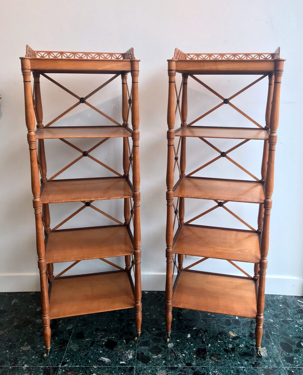 Pair Of Maple And Amaranth Shelves, Charles X Period-photo-3