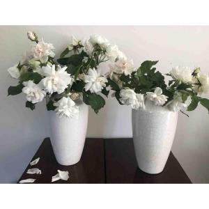 Gardenia Flower Vase