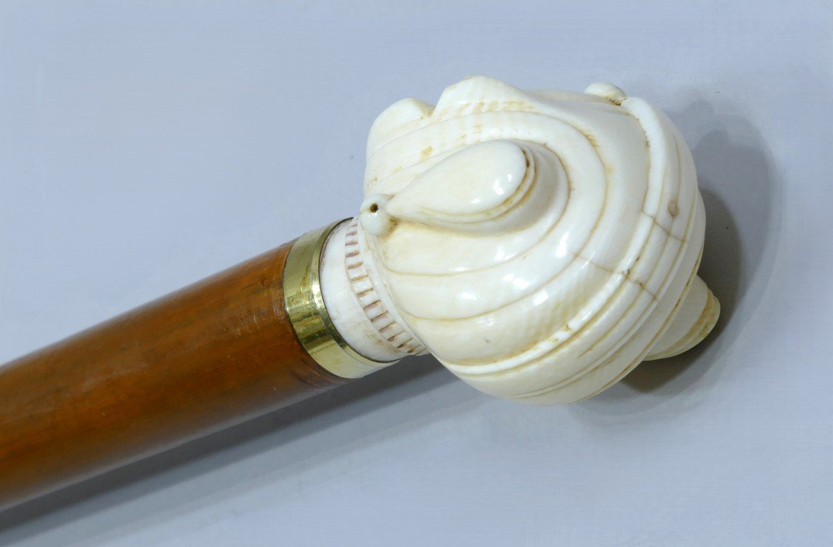 Collectible Cane With Ivory Handle Representing A King's Jester-photo-1