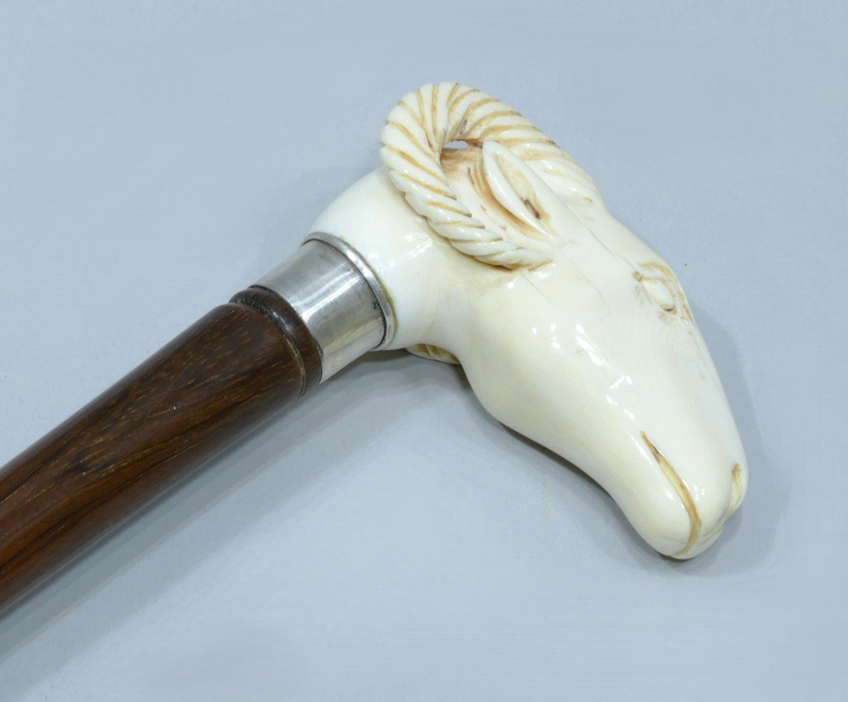 Collectible Cane With Handle Representing A Goat's Head (rare Theme)-photo-3