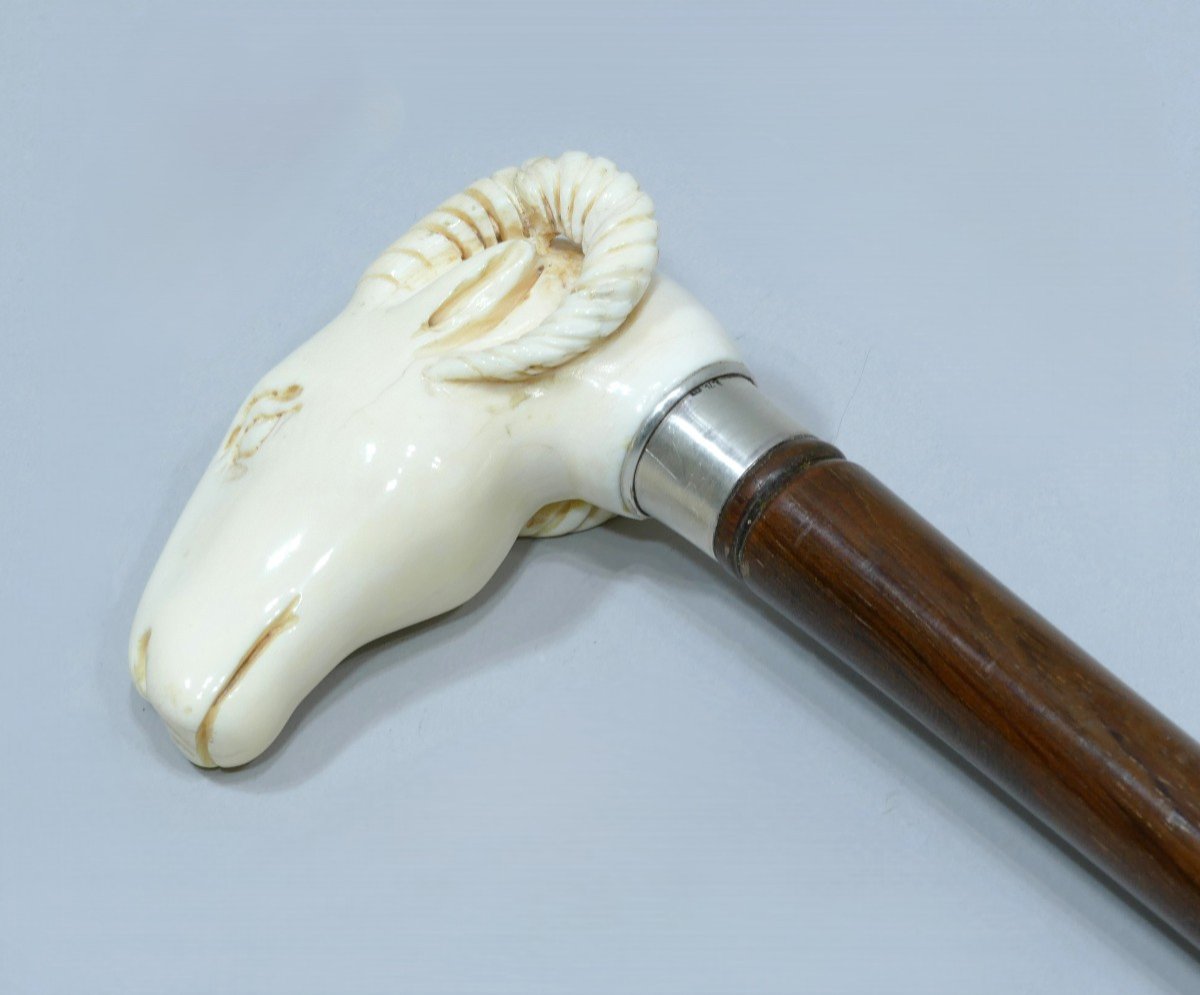 Collectible Cane With Handle Representing A Goat's Head (rare Theme)-photo-4