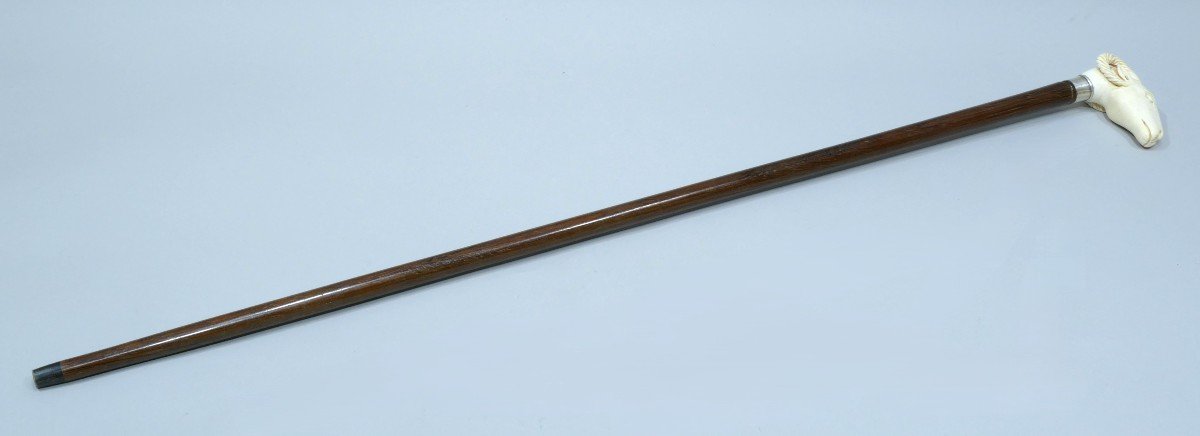 Collectible Cane With Handle Representing A Goat's Head (rare Theme)-photo-2