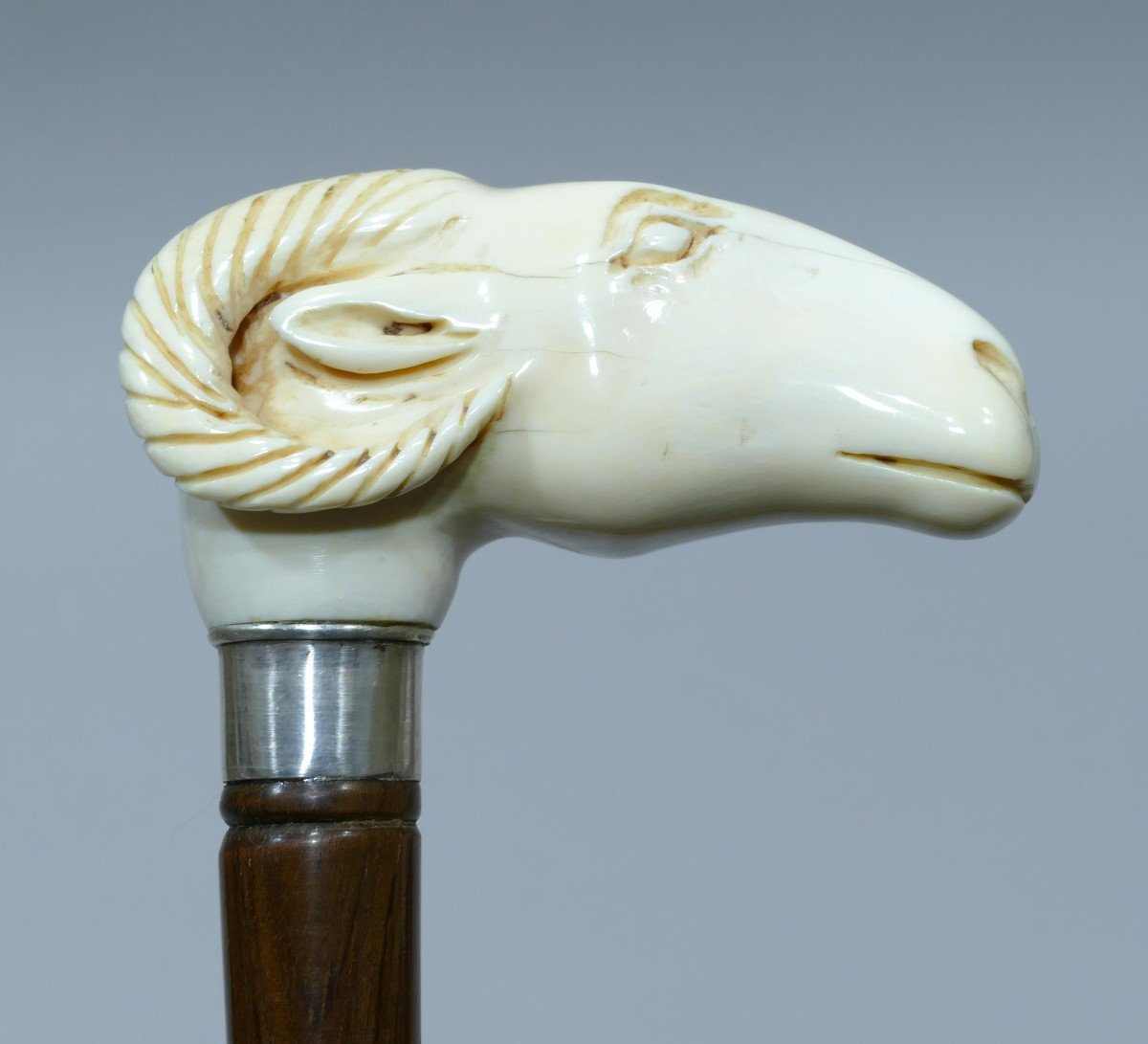 Collectible Cane With Handle Representing A Goat's Head (rare Theme)