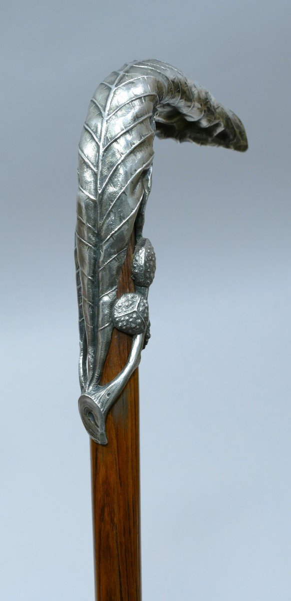 Canne d'époque Art Nouveau Avec Pommeau En Argent Représentant Une Feuille-photo-2