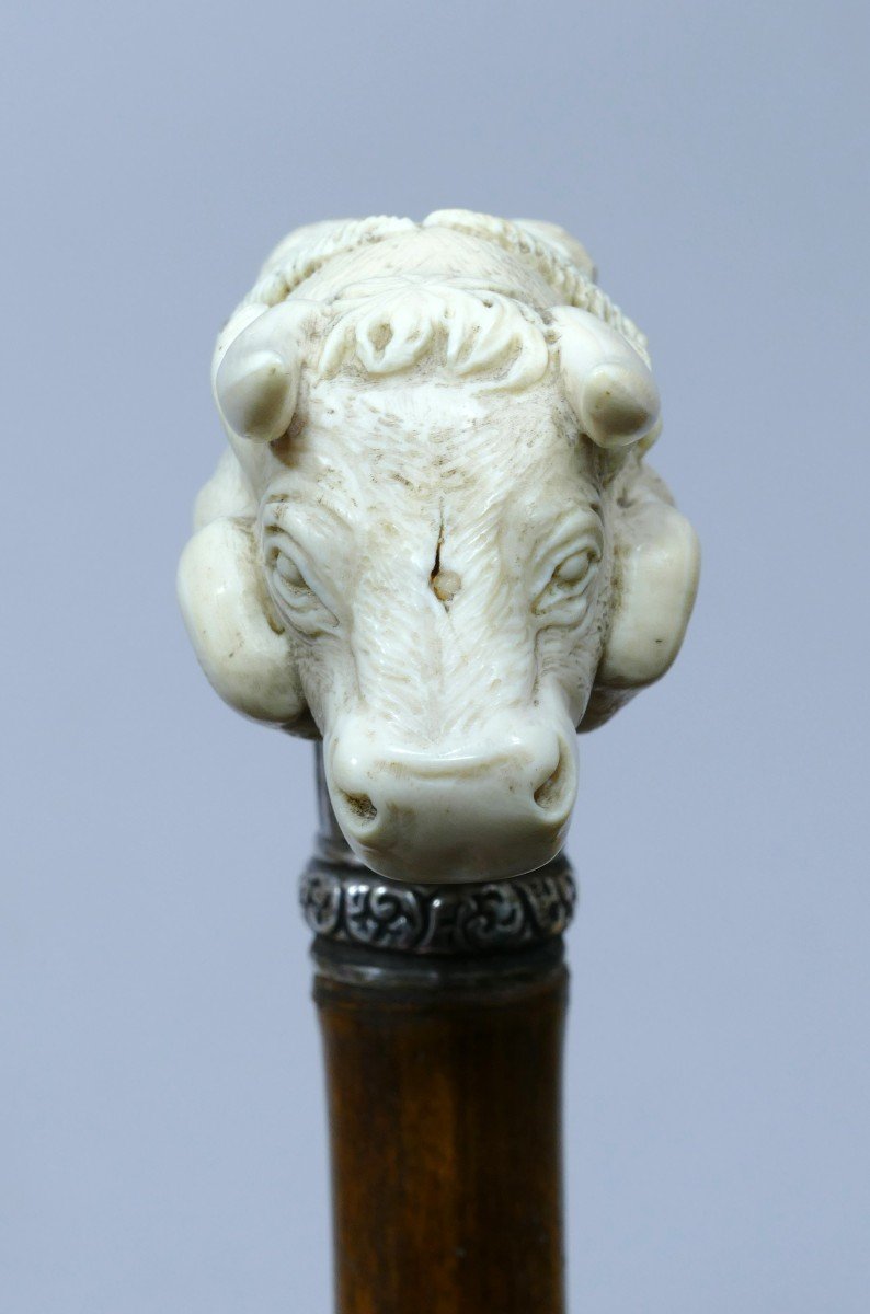 Rare 19th Century Bullfighting Themed Collectible Cane-photo-4