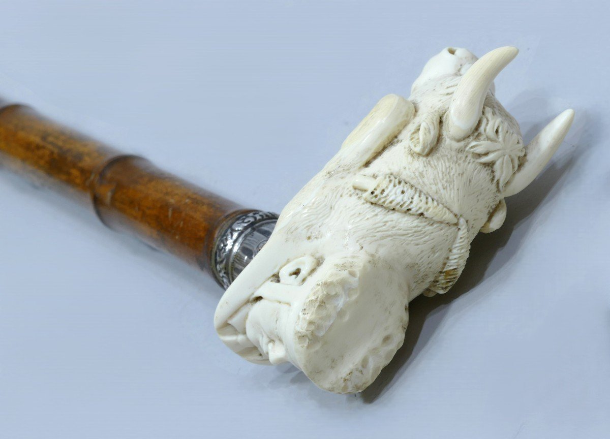 Rare 19th Century Bullfighting Themed Collectible Cane-photo-1