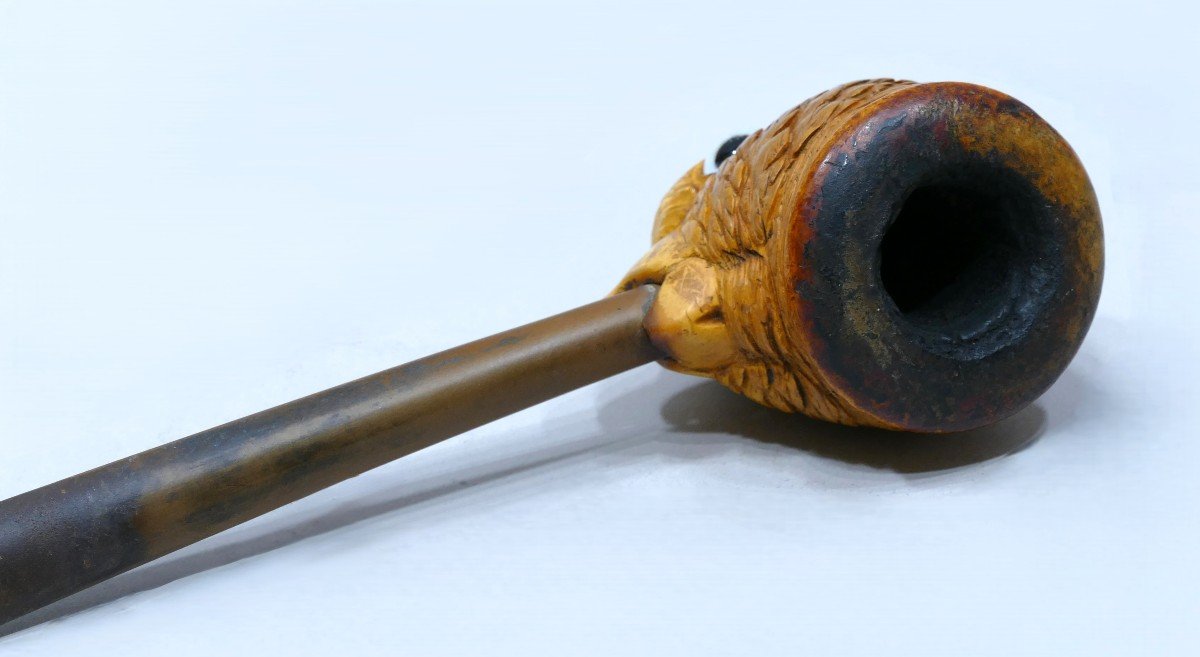 Meerschaum Pipe Representing A Parrot's Head-photo-4