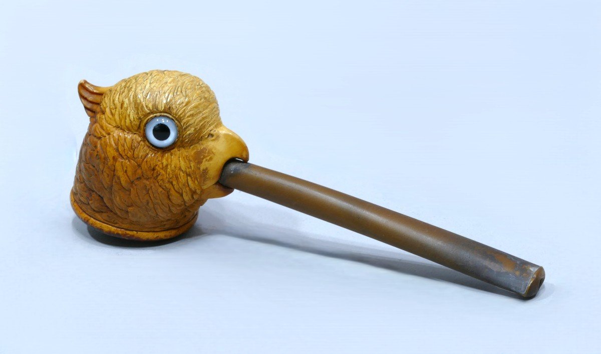 Meerschaum Pipe Representing A Parrot's Head