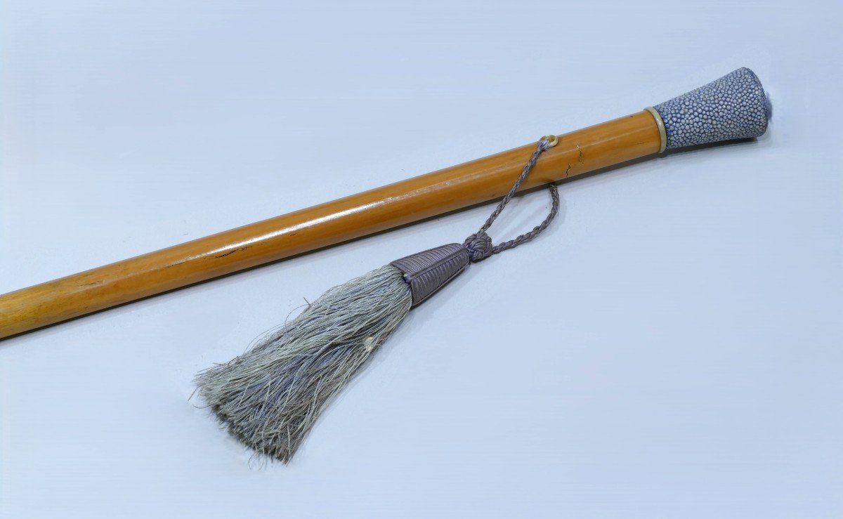 Elegant Art Deco Cane With Blue/grey Stingray Handle-photo-2