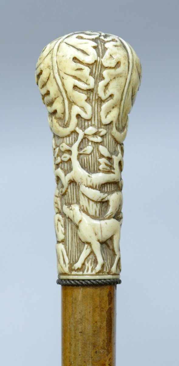 Cane With Ivory Handle Representing A Hunter And His Dogs Dated To The 19th Century-photo-3