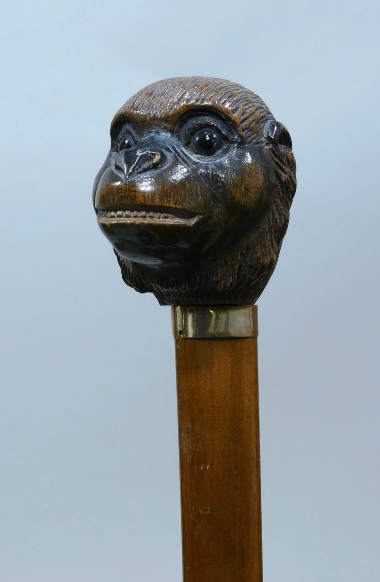 Canne De Collection Signée Ben Cox Représentant Une Tête De Singe-photo-2