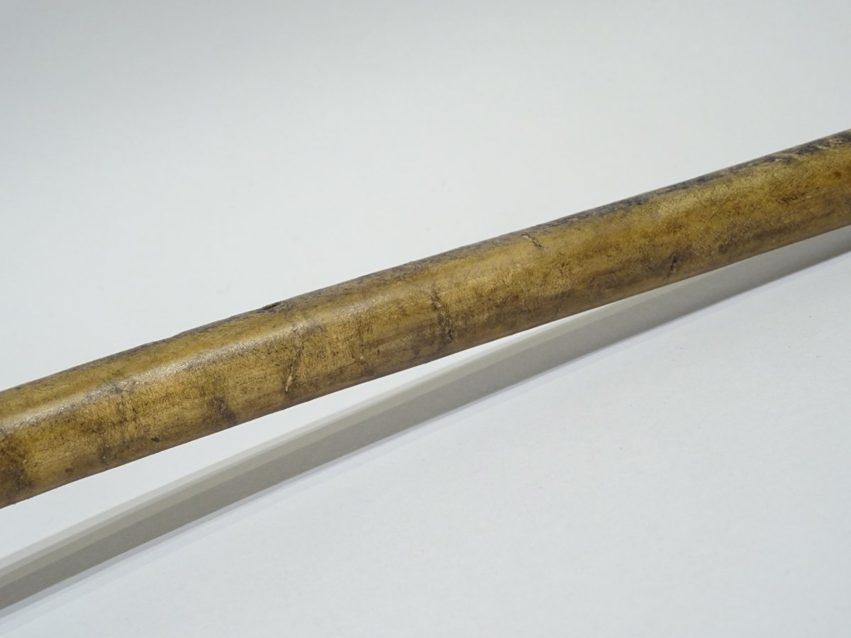 Collection Cane Composed Of An Elephant Tail -photo-1