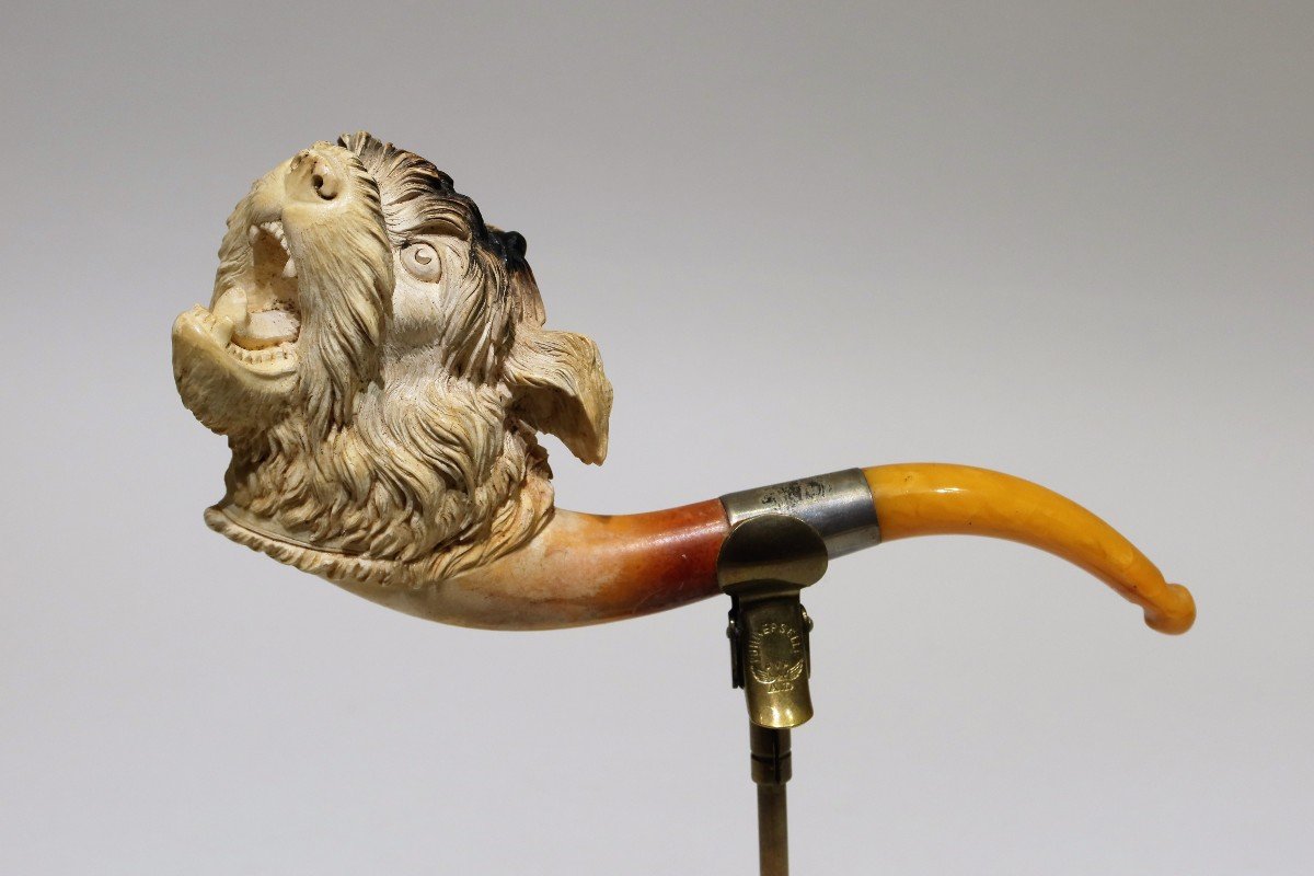 Meerschaum Pipe Representing A Griffon Breed Dog