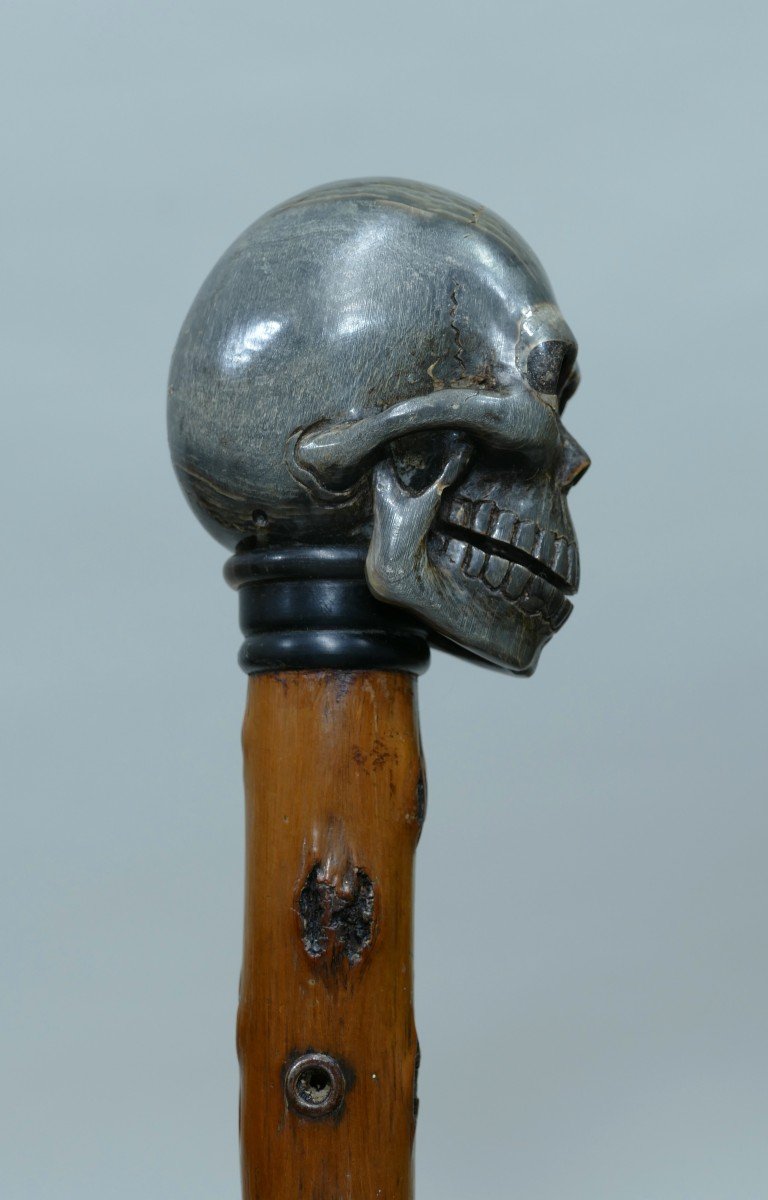 Collection Cane With Skull Horn Handle-photo-3