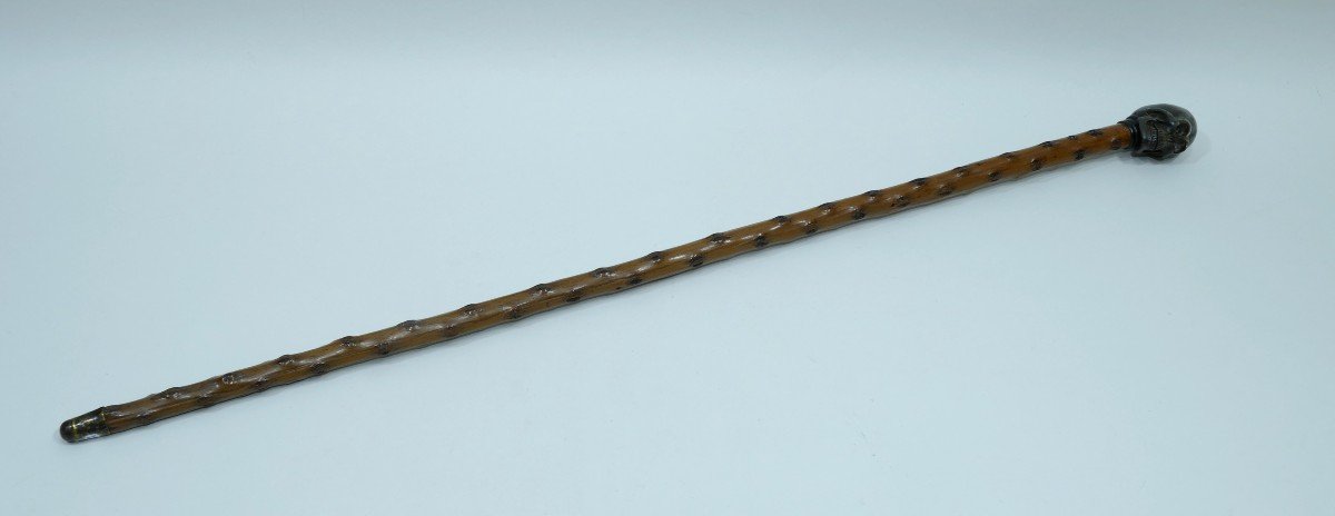 Collection Cane With Skull Horn Handle-photo-2