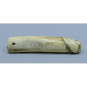 Dildo In Antler Datable From The Beginning Of The 20th Century