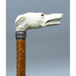 Collectible Cane With Ivory Handle Representing A Greyhound