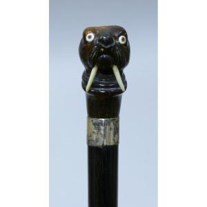 Sailor's Cane With Horn Handle Representing A Walrus Head (19th Century)