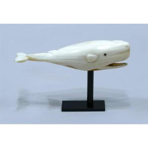 Walrus Tusk Scrimshaw Representing A Sperm Whale Dated To The 19th Century