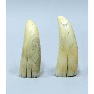 Pair Of Sperm Whale Teeth Dated To The 19th Century