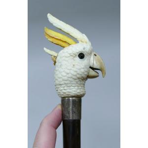 Rare Automated System Cane With Ivory Parrot Head Handle