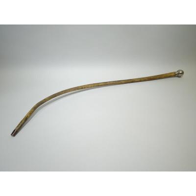 Collection Cane Composed Of An Elephant Tail 