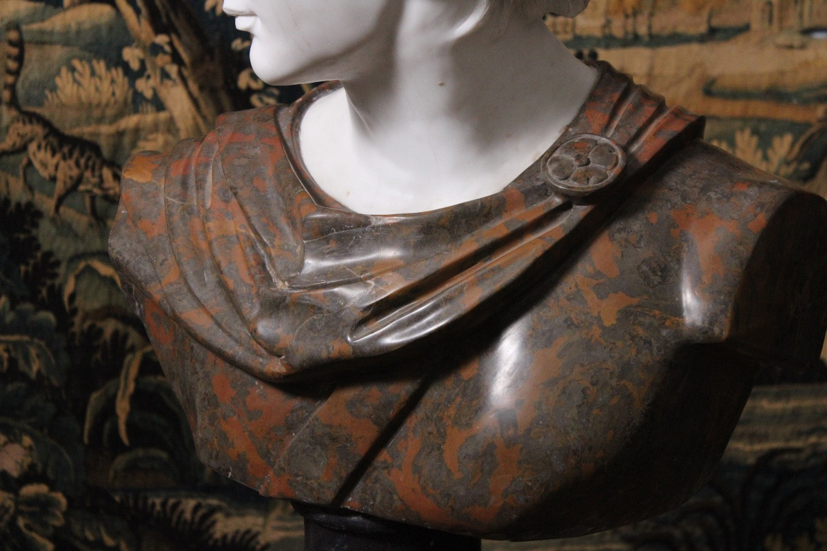 Important Bust Of Apollo In Marble Sculpted After The Apollo Of Belvedere, Italy XXth Century-photo-3