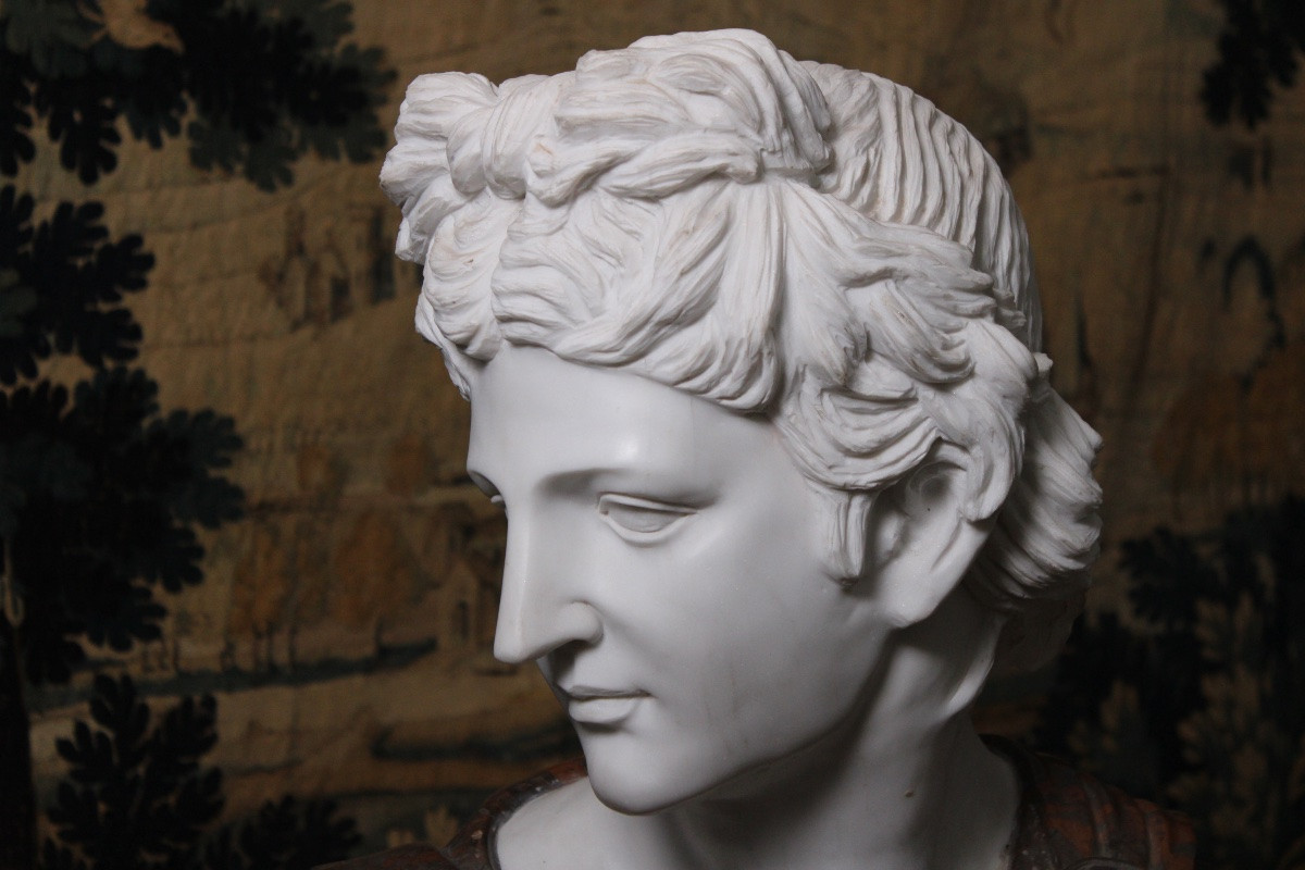 Important Bust Of Apollo In Marble Sculpted After The Apollo Of Belvedere, Italy XXth Century-photo-5