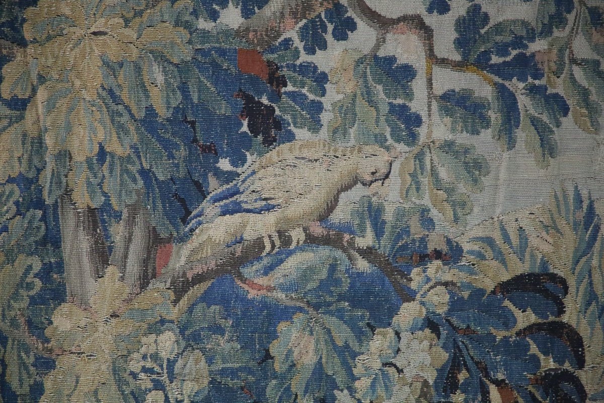 Aubusson Tapestry, Greenery With Birds, 18th Century.-photo-3