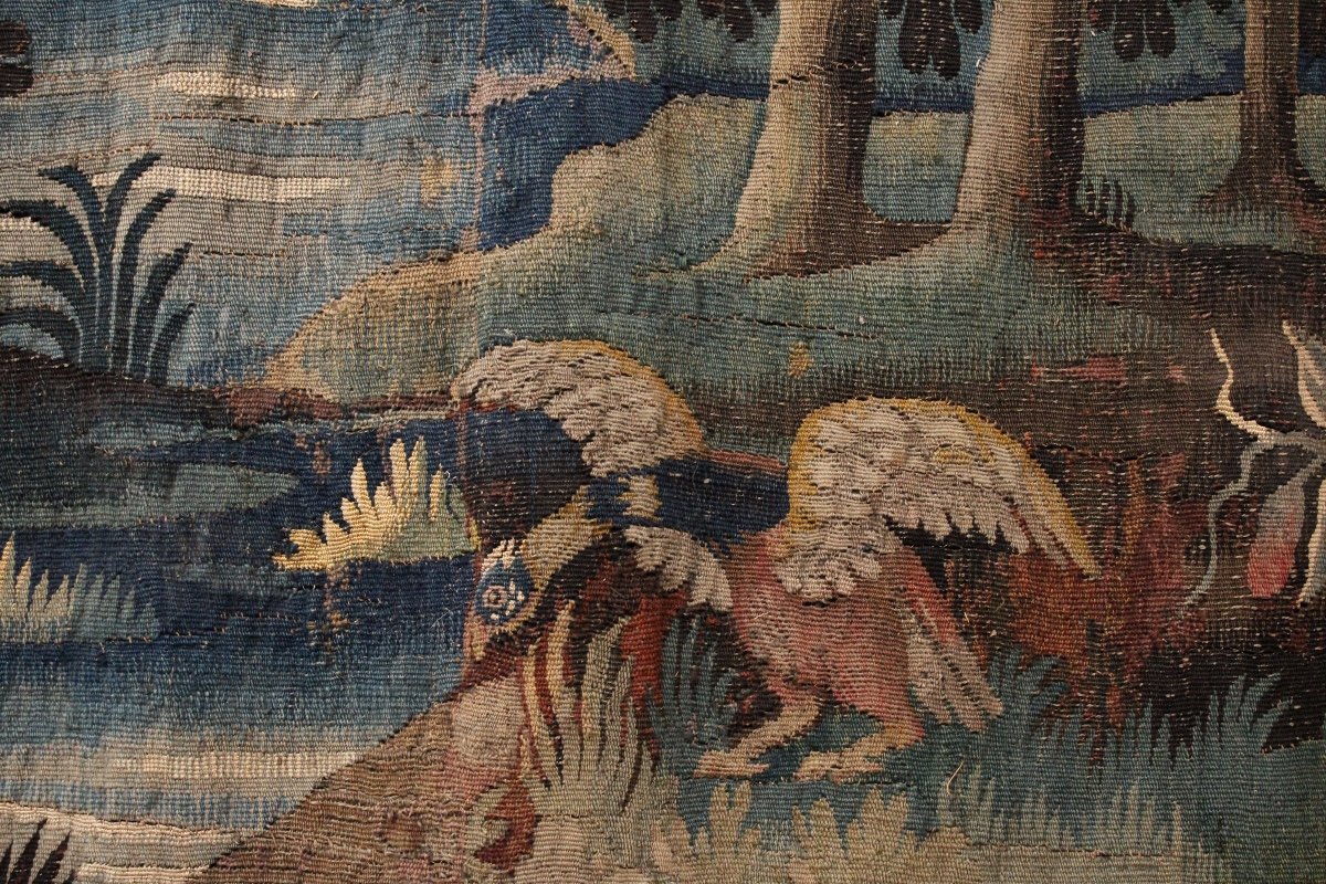 Tapisserie D’aubusson, Verdure Aux Oiseaux, XVIIIème Siècle-photo-2