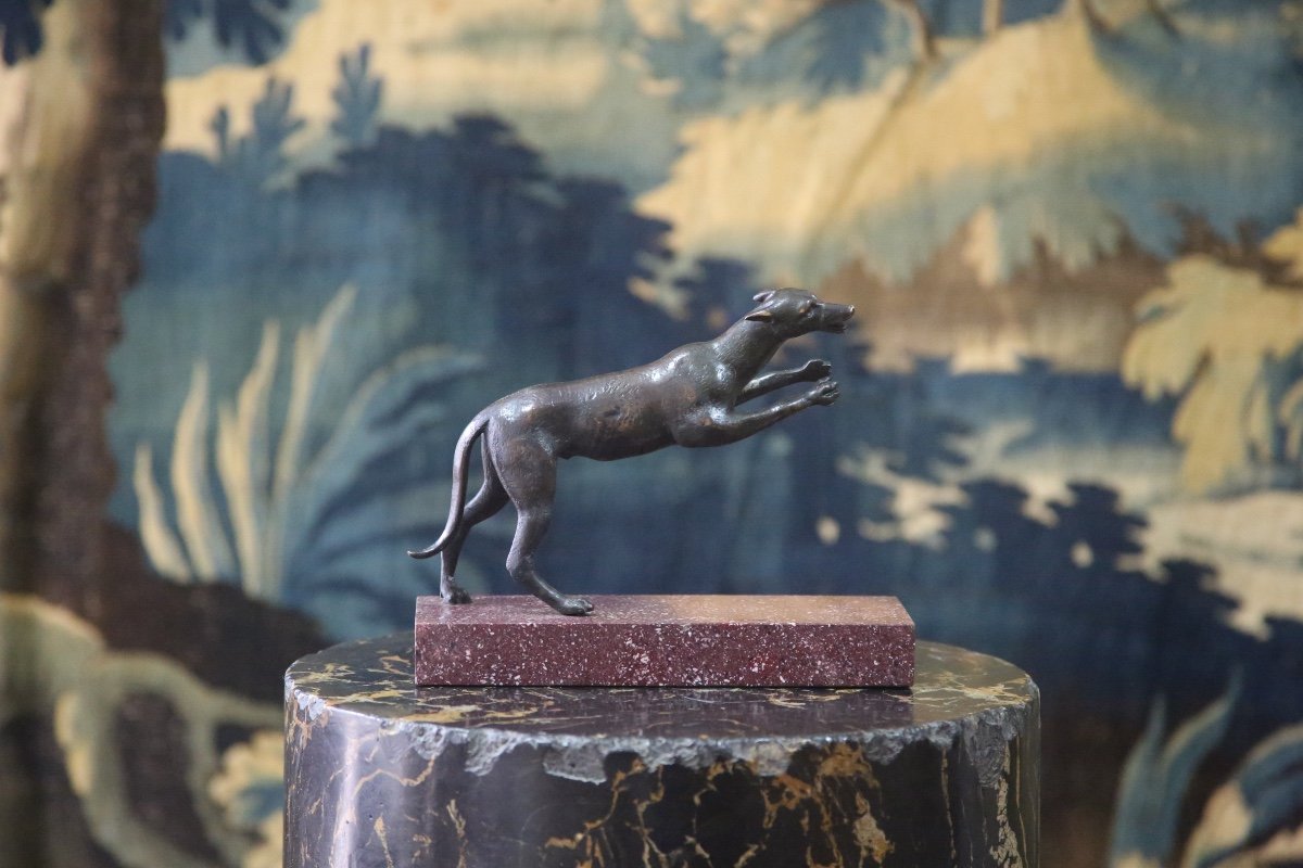 Greyhound In Bronze On Porphyry Base, 18th Century-photo-2