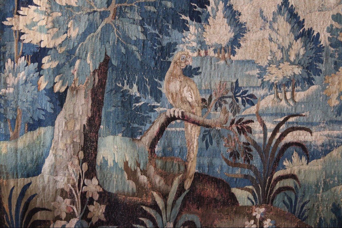  Tapisserie Aubusson, Verdure au perroquet, XVIIIème siècle-photo-4