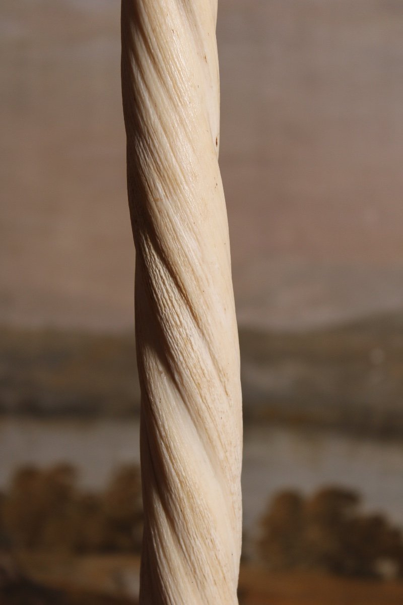 Rostrum/narwhal Tooth, 20th Century, Greenland-photo-3