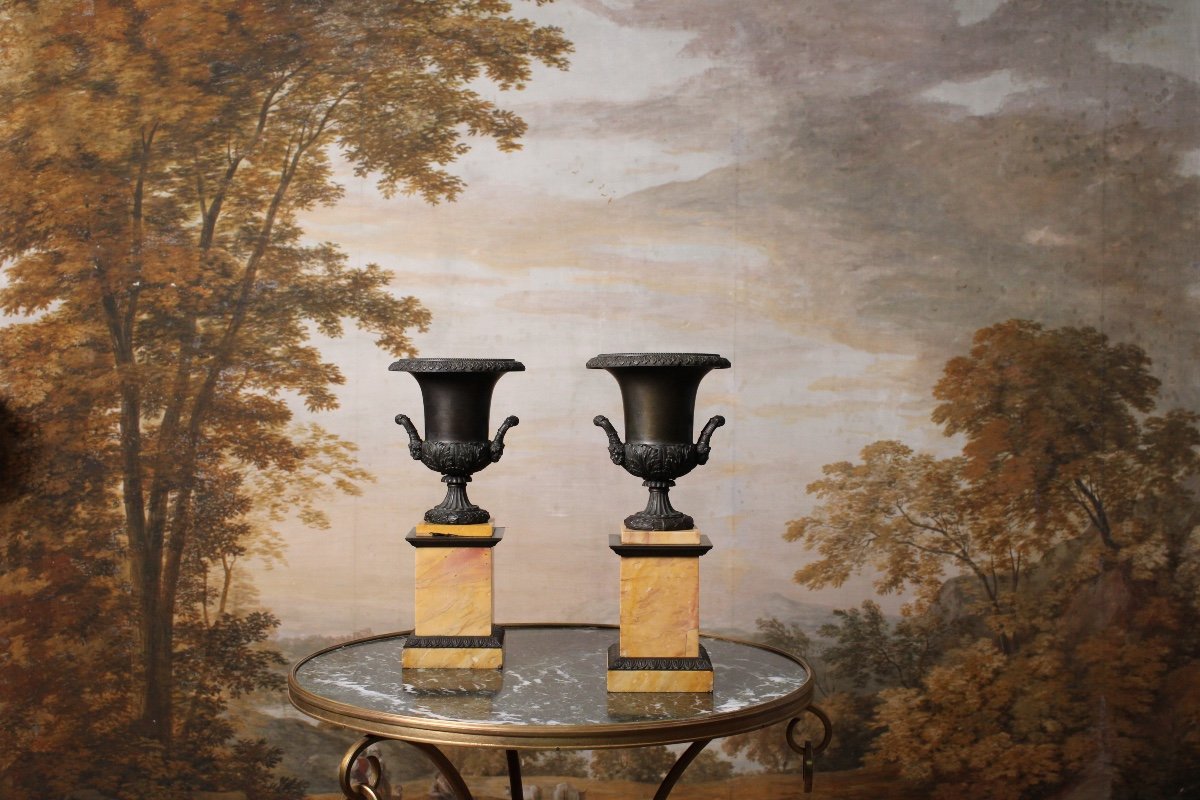 Pair Of Medici Vases In Patinated Bronze, 19th Century