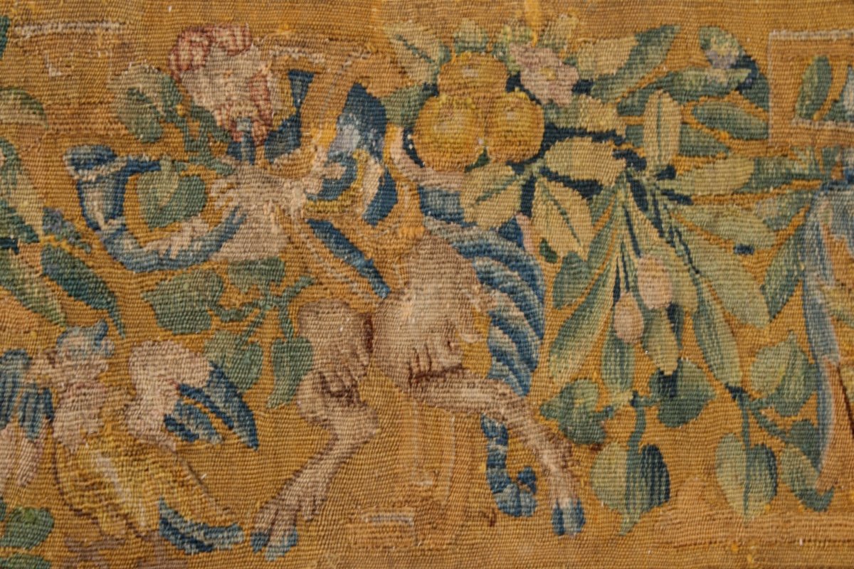  Tapestry Border, Oudenaarde, Mid-16th Century-photo-4