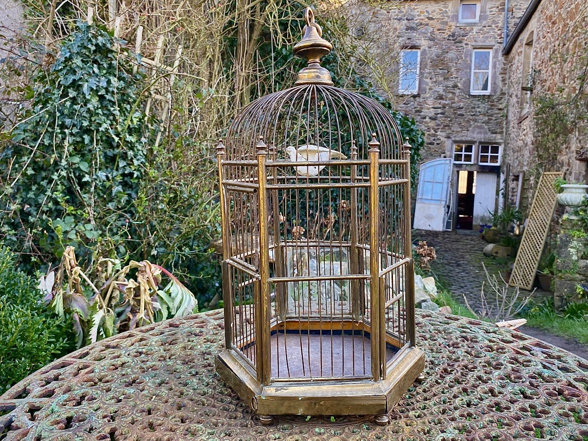 Elégante Cage à Oiseaux De La Fin Du XIX E Siècle. -photo-4