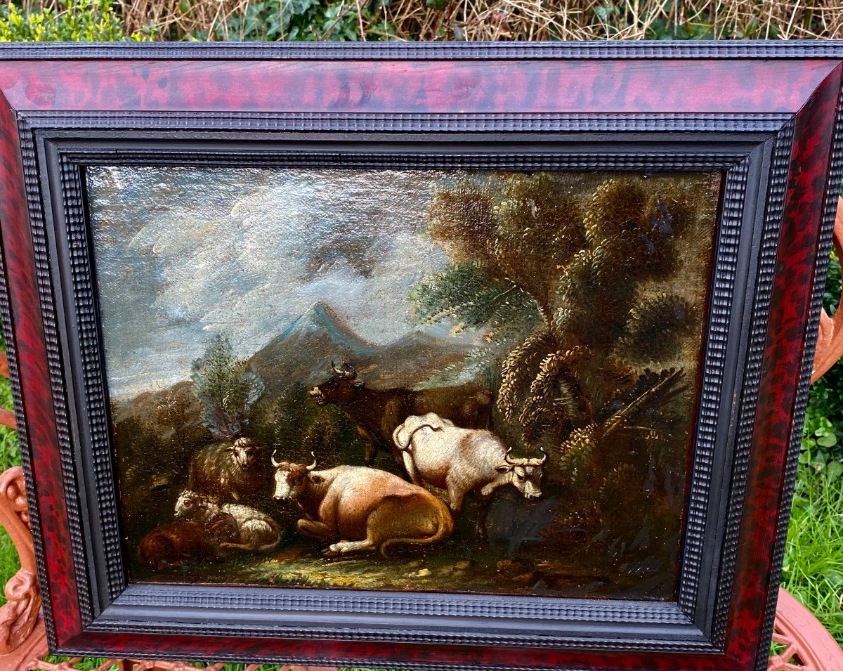 Animal Scene. Oil On Canvas. Flemish School. Style Frame. Period 18th Century. -photo-1