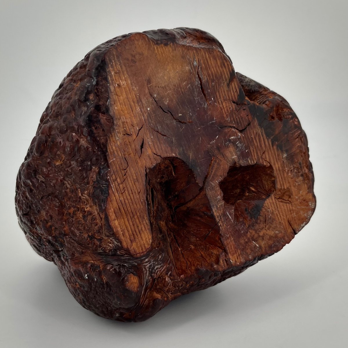 Natural History: Wooden Element Or Carved Root Evoking An Elephant's Foot -photo-4