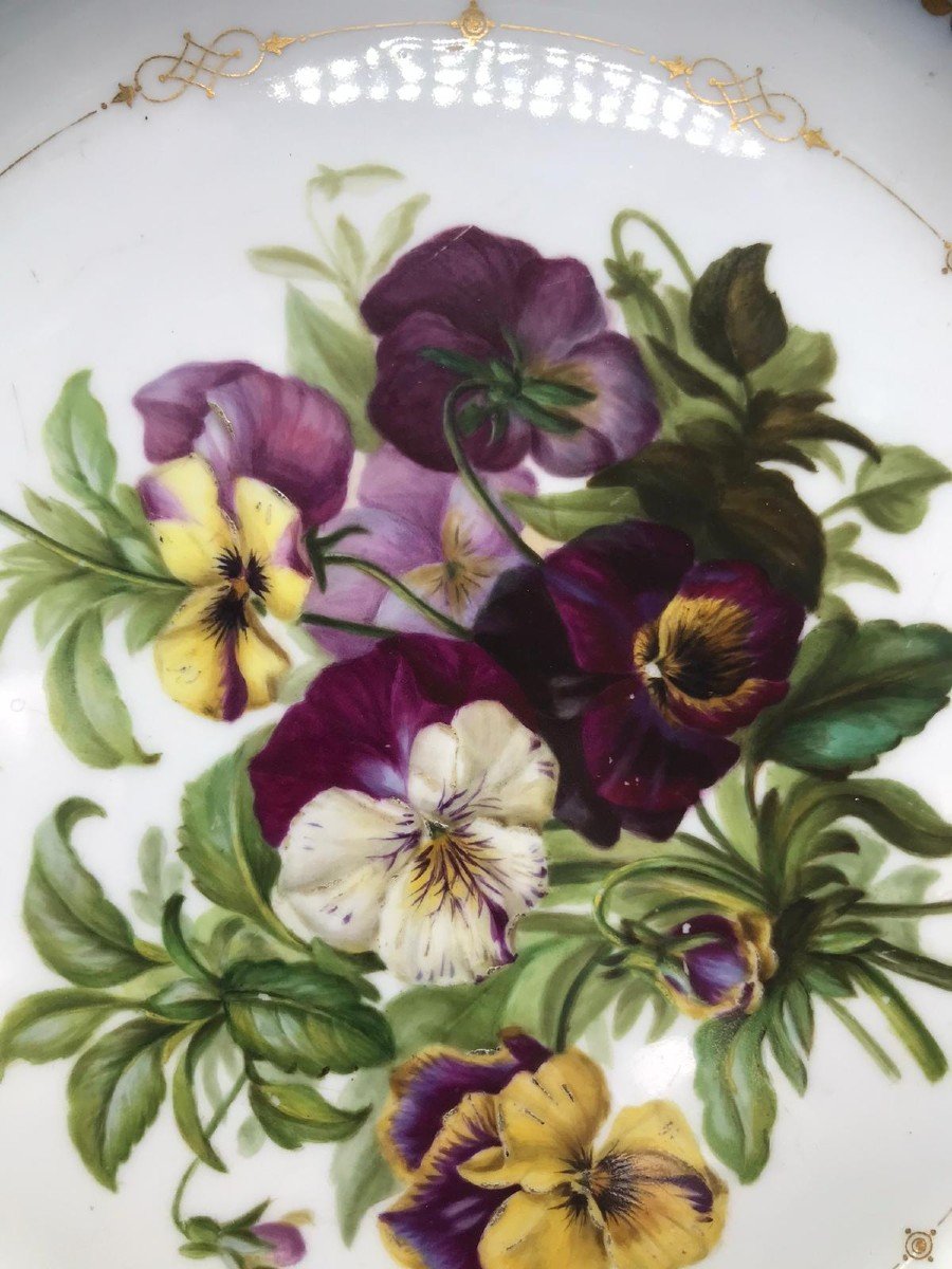 Sèvres Porcelain Plate, 1846, Large-flowered Pansy-photo-3