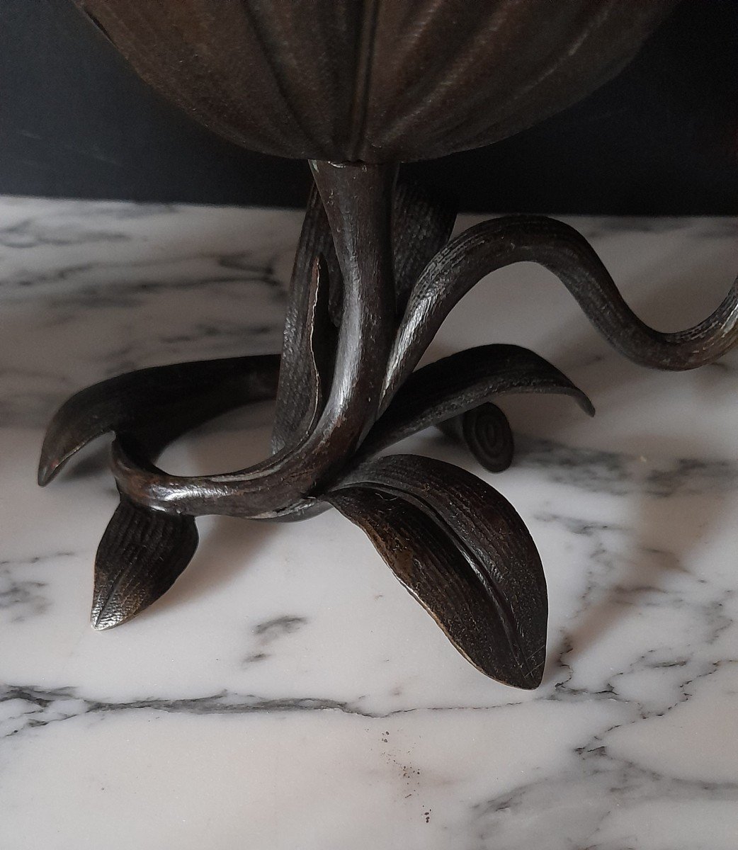 Bronze  Fleur De Lotus -photo-3