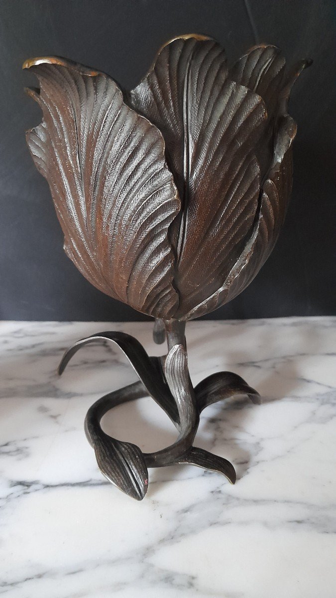 Bronze  Fleur De Lotus -photo-8