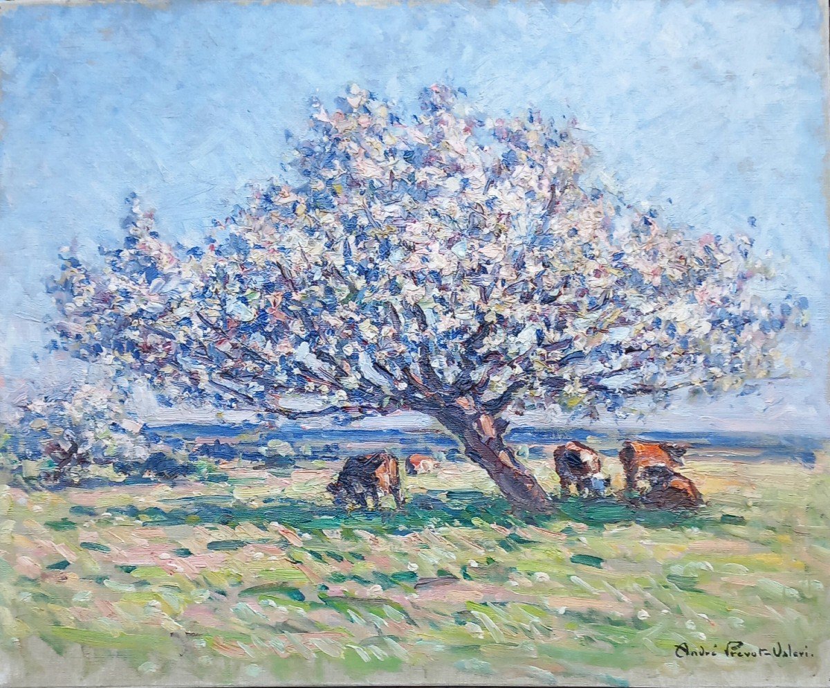 "apple Tree In Blossom" By André Prévost Valeri 