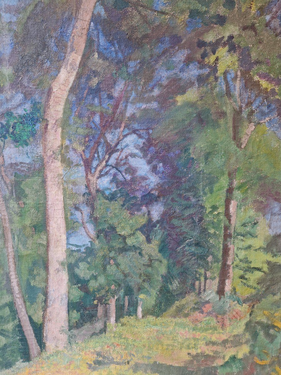 Entrée Du Bois De Carolles De Jacques Simon 