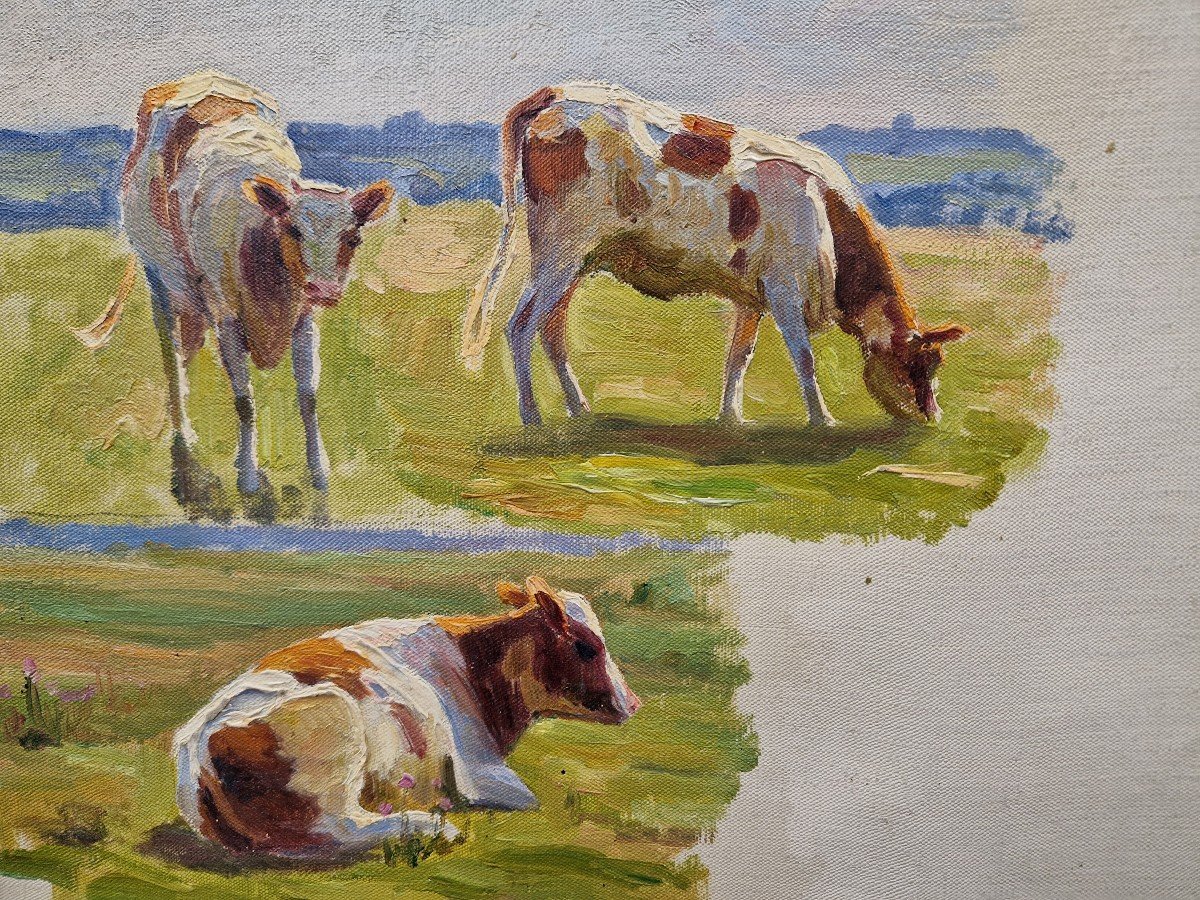 Vaches Au Près De Charles Wislin