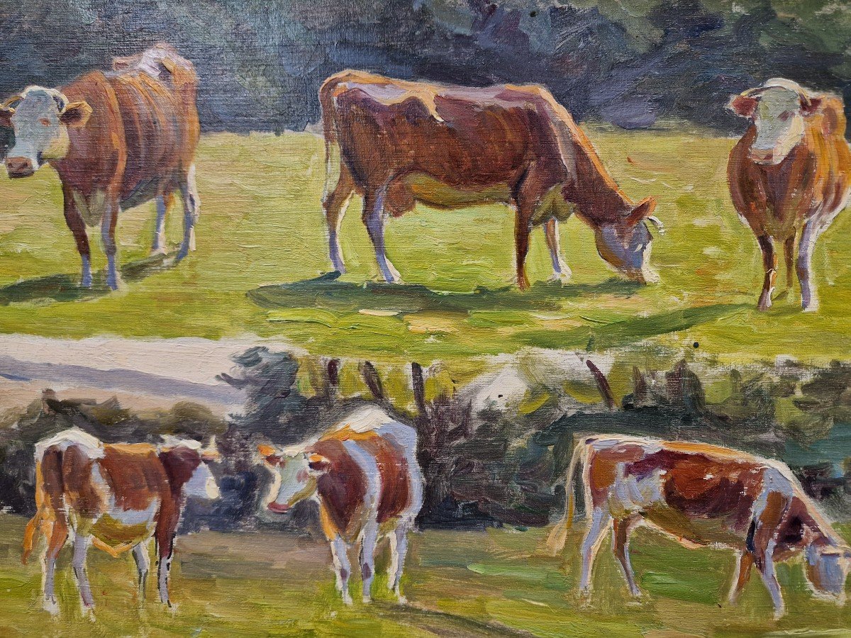 Cows Near Charles Wislin 