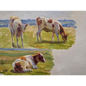 Cows Near Charles Wislin